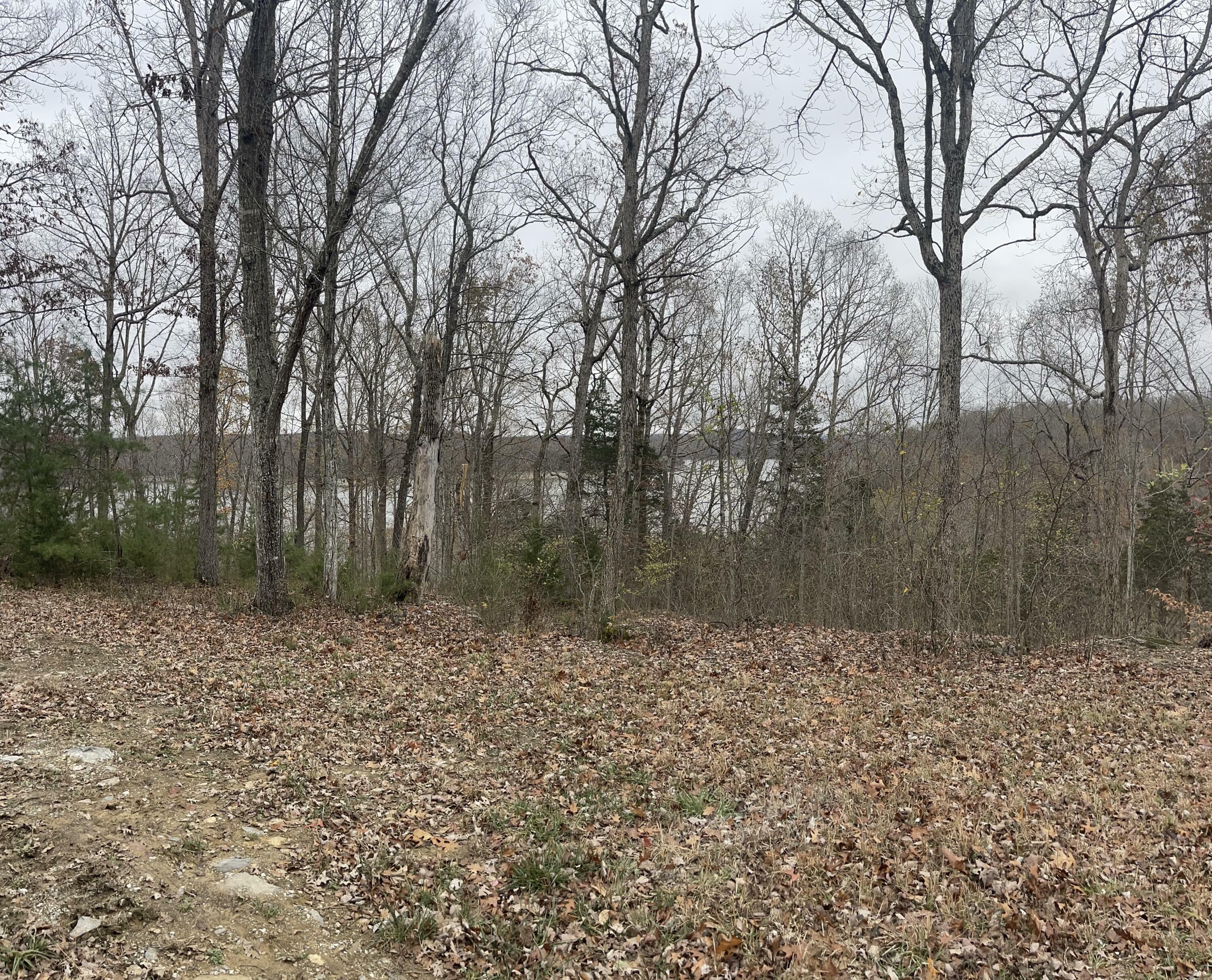 Property Photo:  Lot 41 Cumberland Shores  KY 42633 