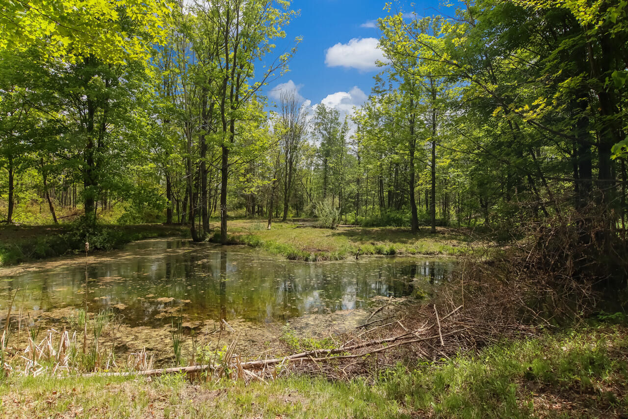 Property Photo: 10113 Ziehm Road MI 49614