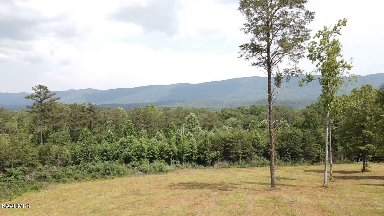 Property Photo:  Lot 3 6 Mile Rd  TN 37803 