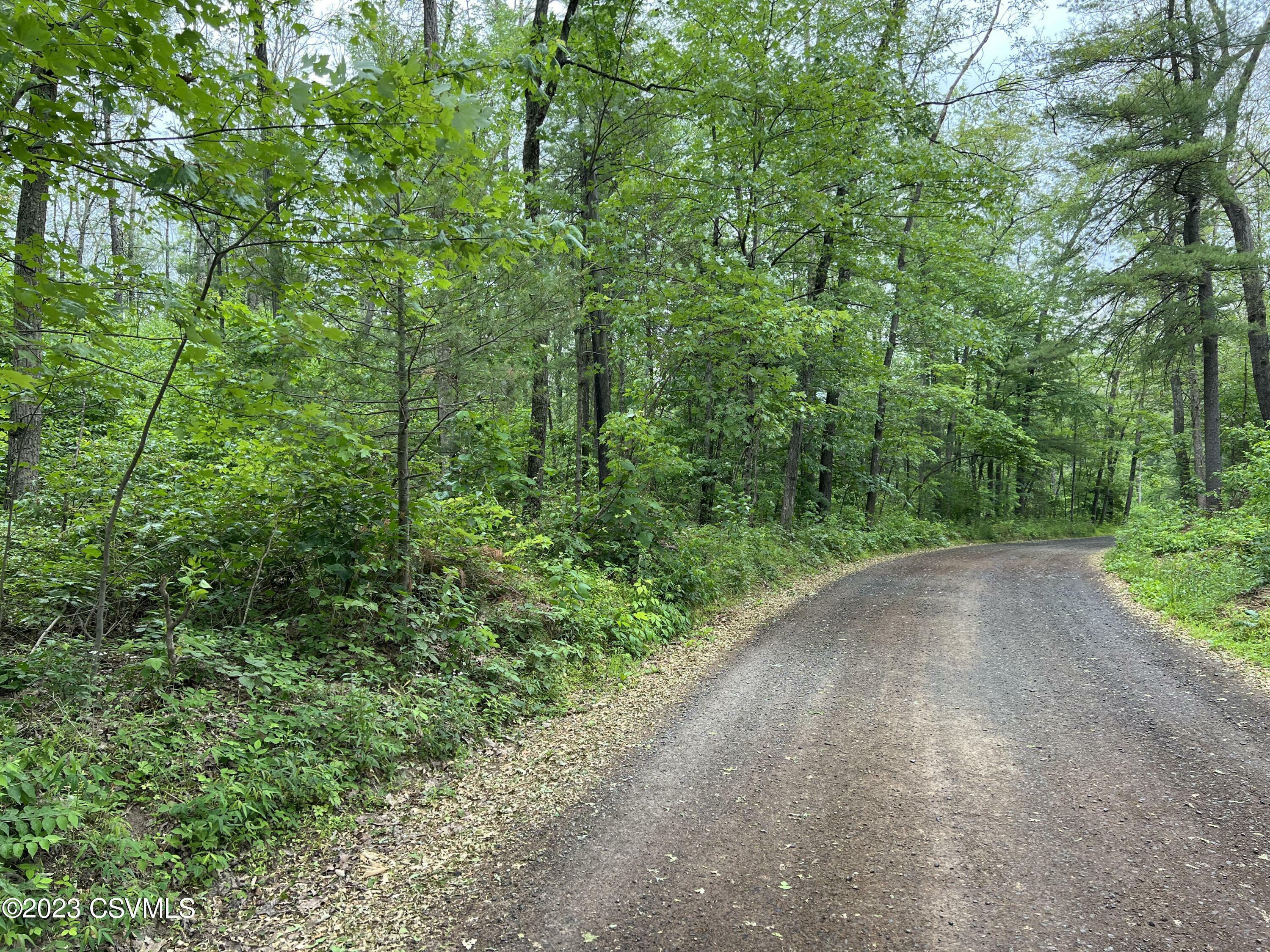 Property Photo:  Nittany Mountain Road  PA 17856 