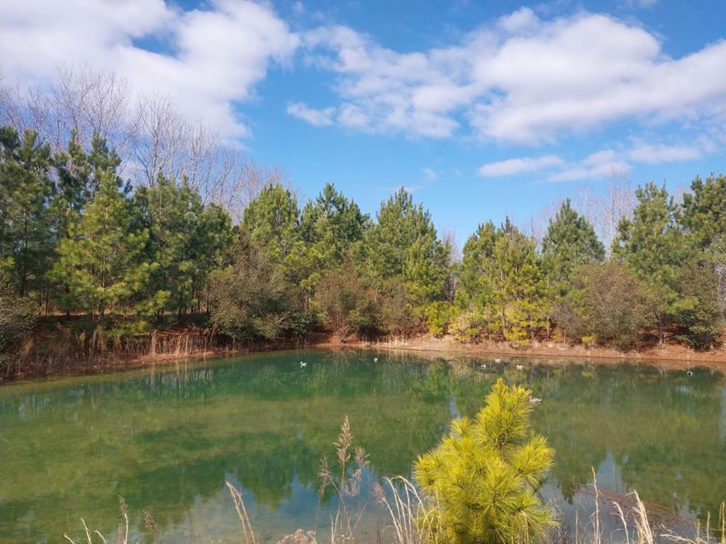 Property Photo:  Lot 64F Belote Farm Ln  VA 23410 