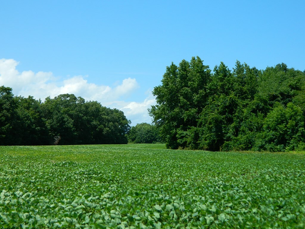 Property Photo:  5011 Bailey Lane  VA 23310 