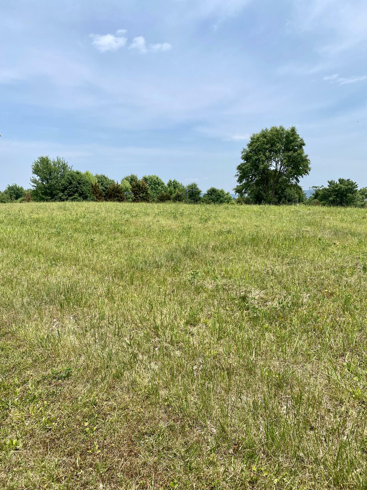 Property Photo:  170 Waitsboro Drive  KY 42503 