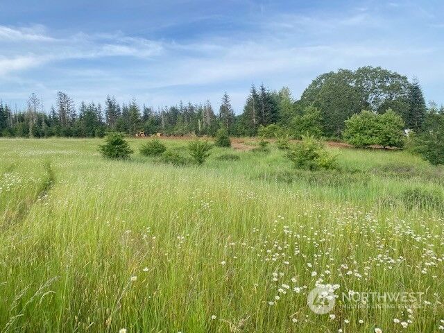 Property Photo: 0 Lot 2 Stearns Road WA 98532