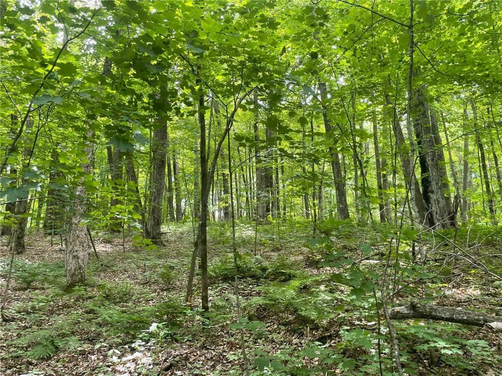 Property Photo:  0 Eagle Forest Ln  WI 54817 