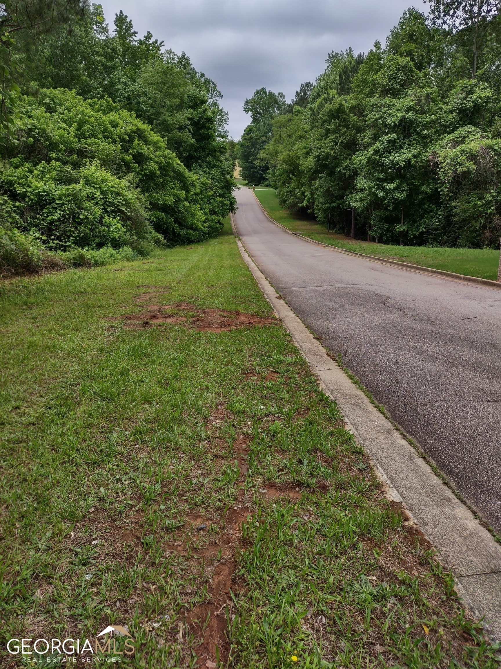 Property Photo:  Lot 3 Coatsworth Drive  GA 30281 