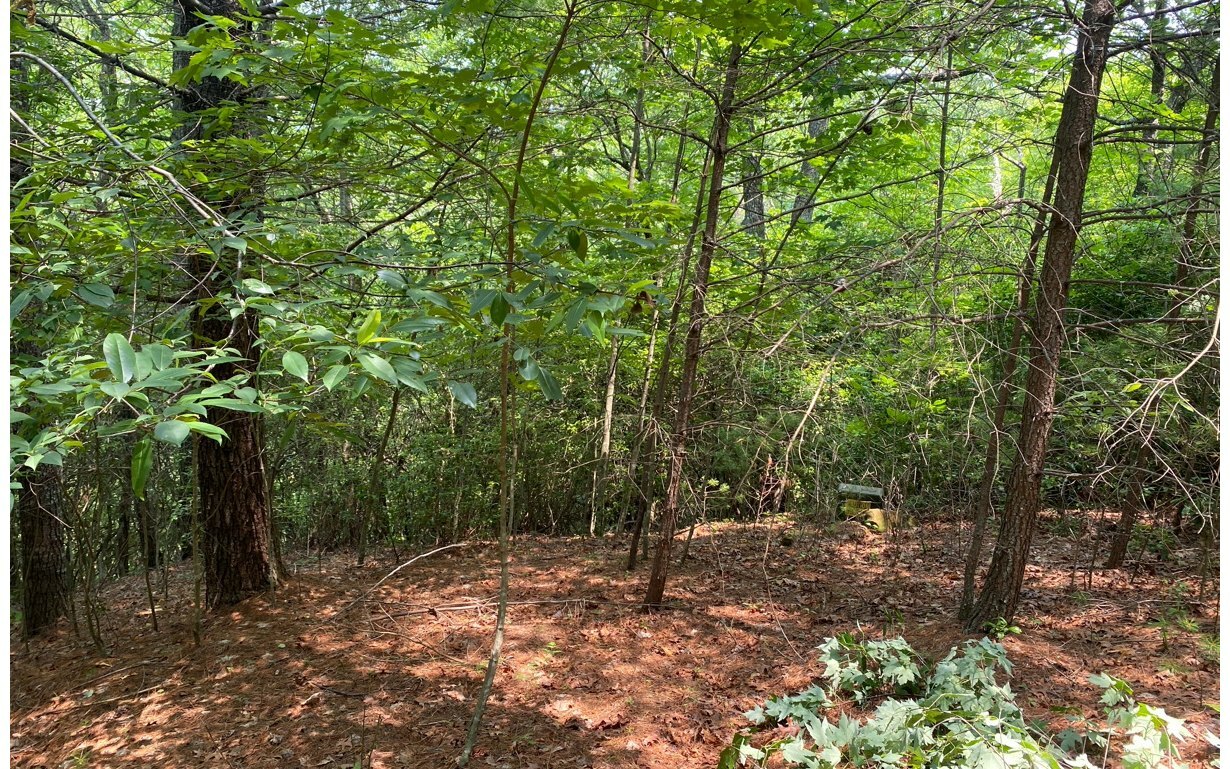 Property Photo:  Lot 6 Orton Road  NC 28906 