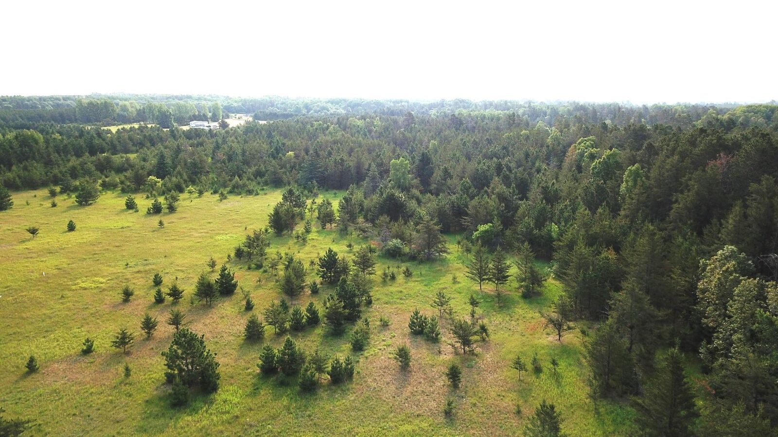 Property Photo:  Tbd Aspen Avenue NW  MN 56601 