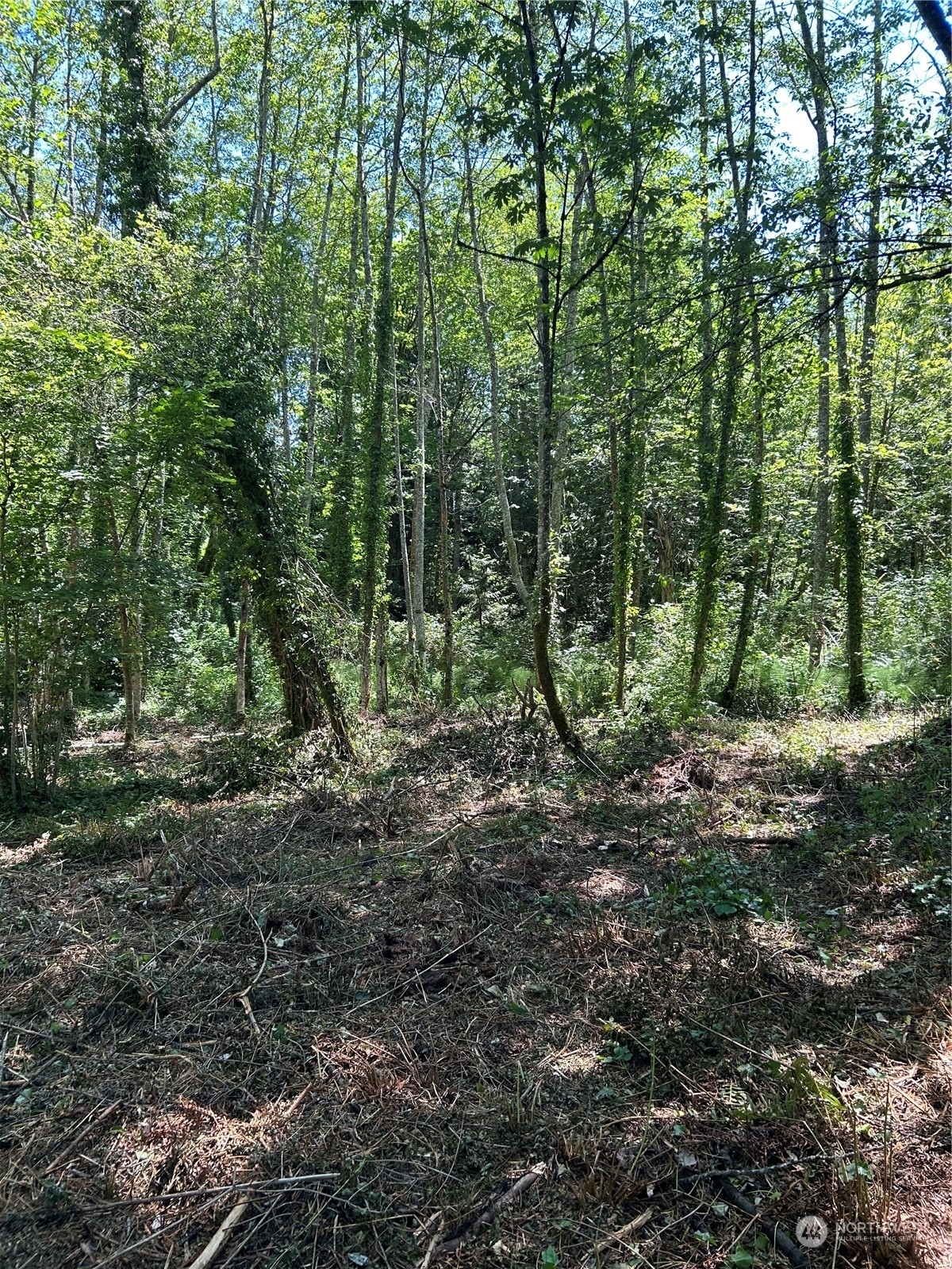 Property Photo:  0 Lot A, B Brockton Avenue  WA 98392 