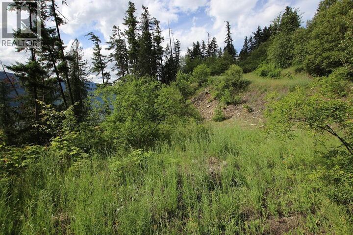 Property Photo:  5959 Highway 23 Other  BC V0G 1R1 