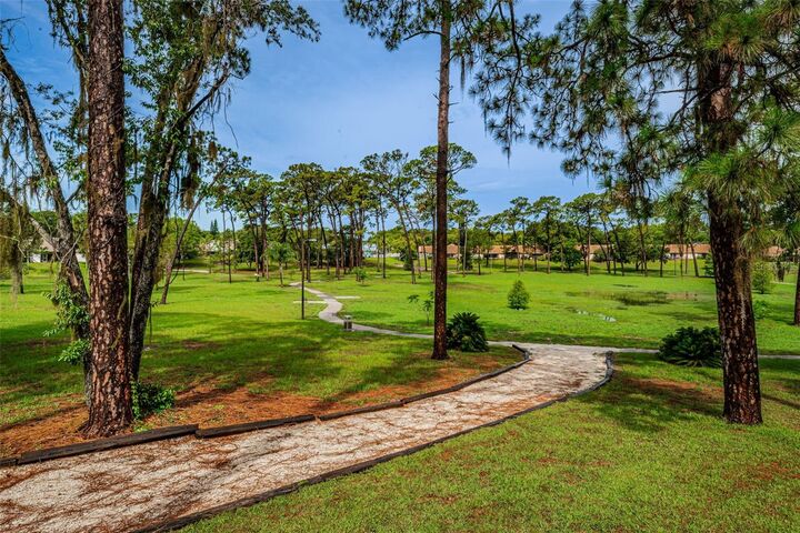 Property Photo: 3180 Pine Forest Court FL 34684