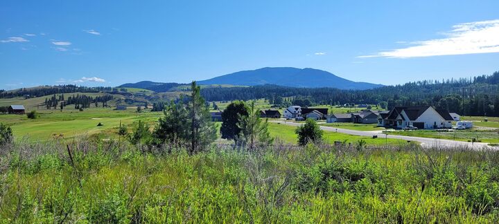 764 Evergreen Way  Colville WA 99114 photo