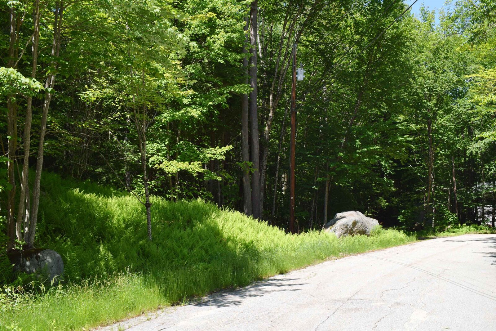Property Photo:  44 Black Bear Road Lot #21 On The Recorded Subdivision Plan.  NH 03262 
