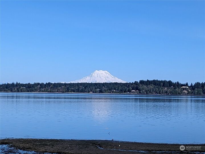 Home for sale in Olympia 9230 Hunter Point Road NW D, Olympia, WA 98502