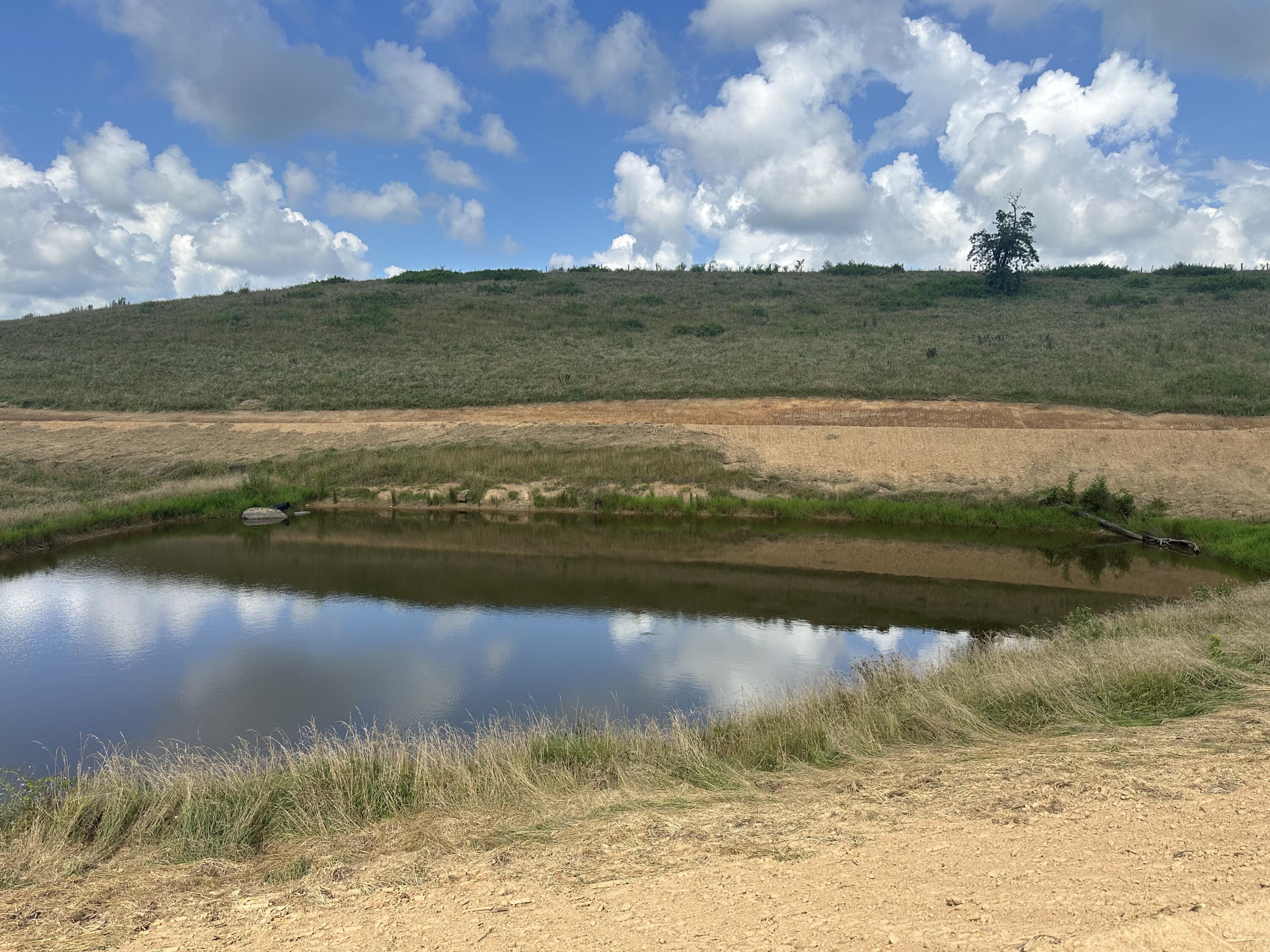 Property Photo: Tract 29 Pittsburg Landing Road KY 40741