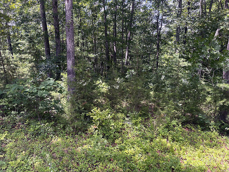 Property Photo:  Lot 17 Cumberland Shores  KY 42633 