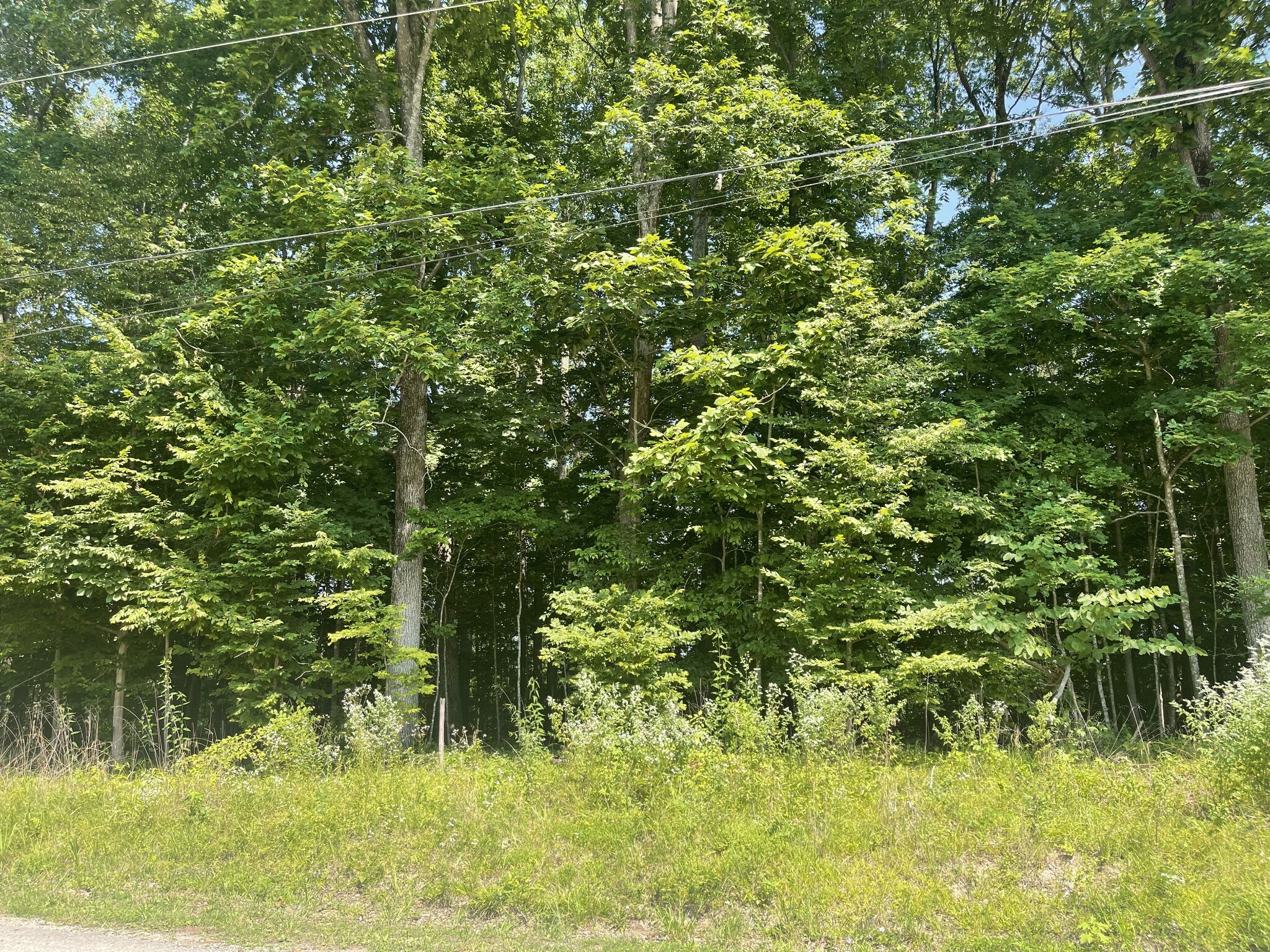 Property Photo:  0 Laurel Crown Rd  TN 37355 