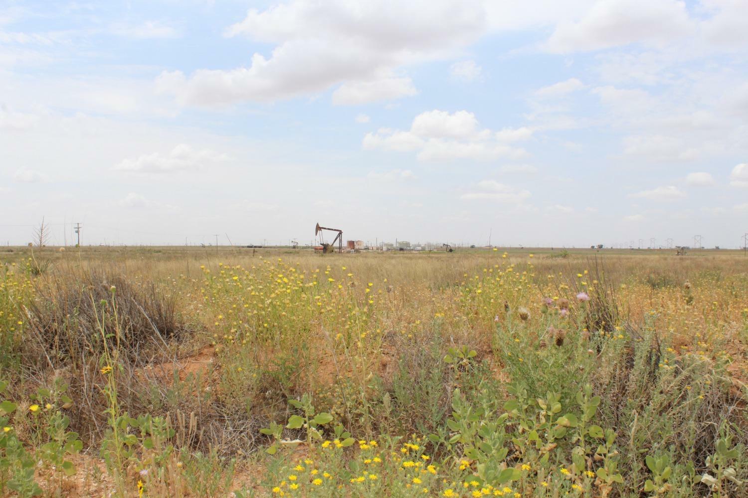 Property Photo:  3327 Horseshoe Road  TX 79336 