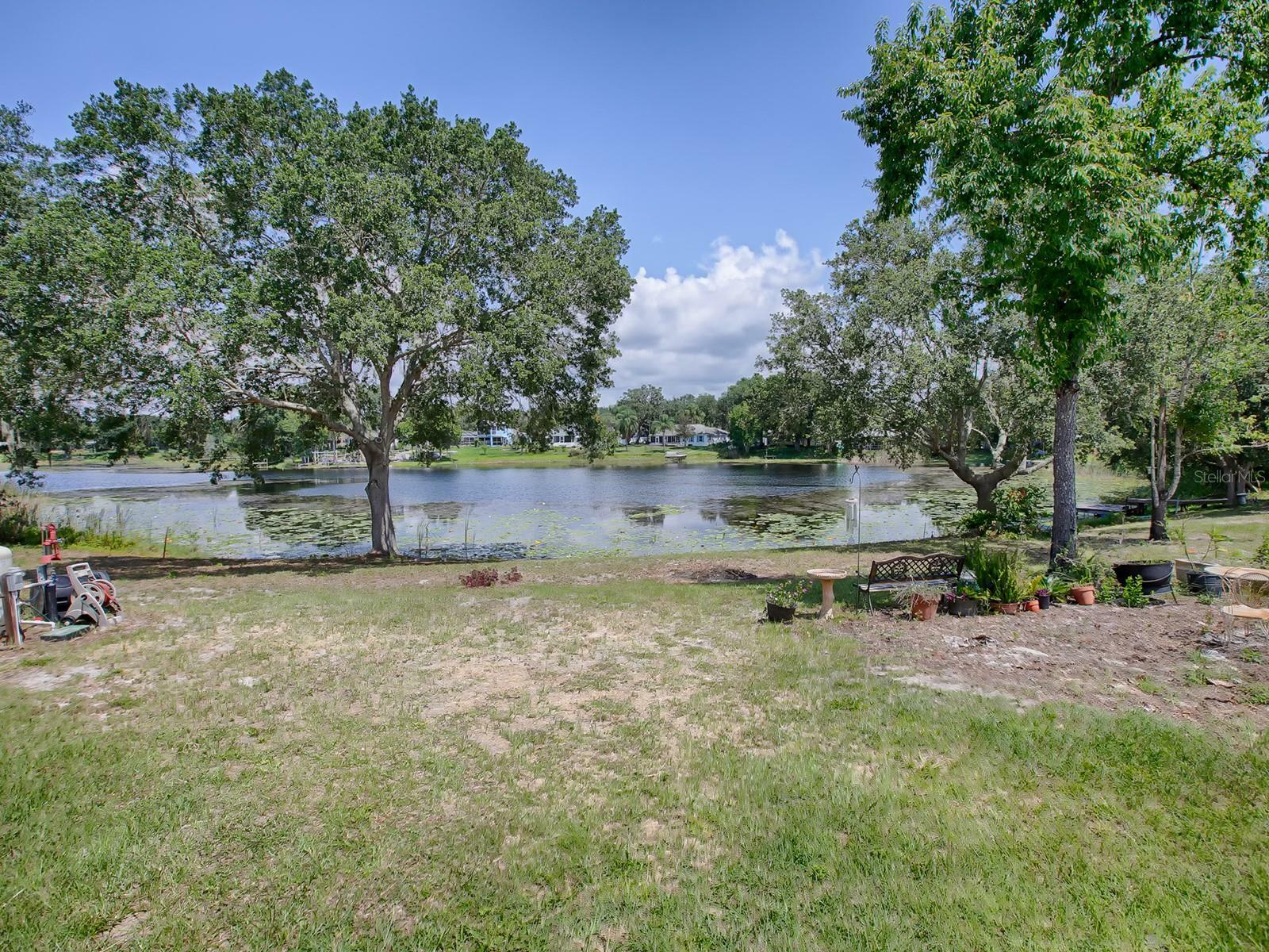 Property Photo:  33525 Linda Drive  FL 34788 