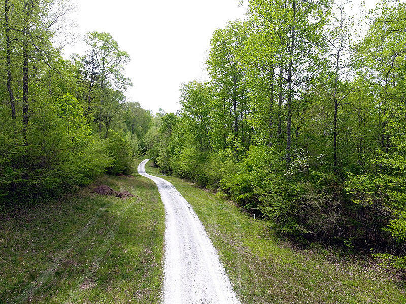 Property Photo:  Tract 7 Dogwood Drive  KY 42653 