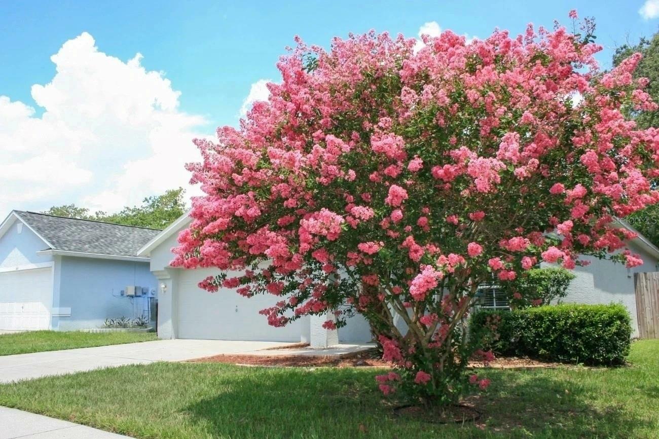 Property Photo: 524 Napa Valley Circle FL 33594