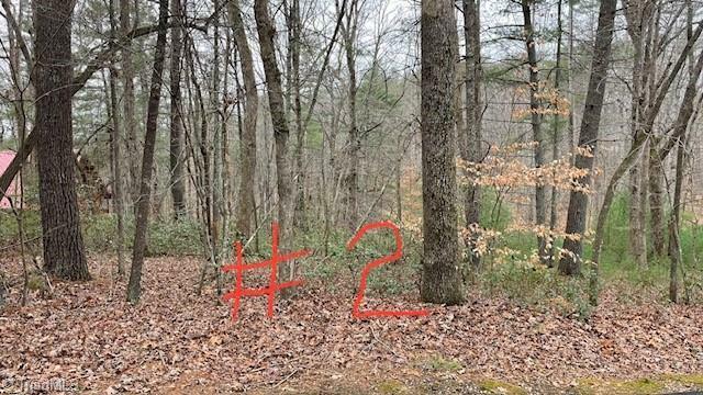 Property Photo: Lot 2 Reserve Trail VA 24171