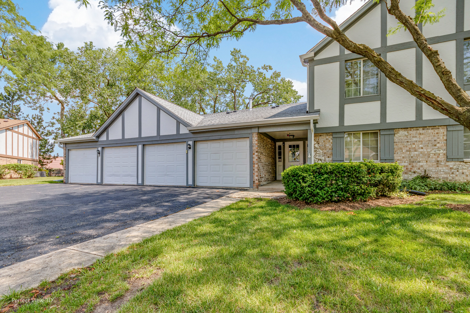 Property Photo:  1215 Williamsport Drive 29-1  IL 60559 