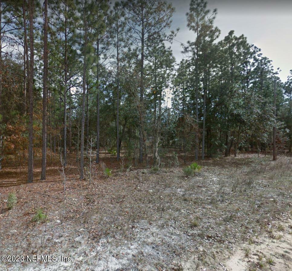 Property Photo: Lot 47 River Street FL 32148