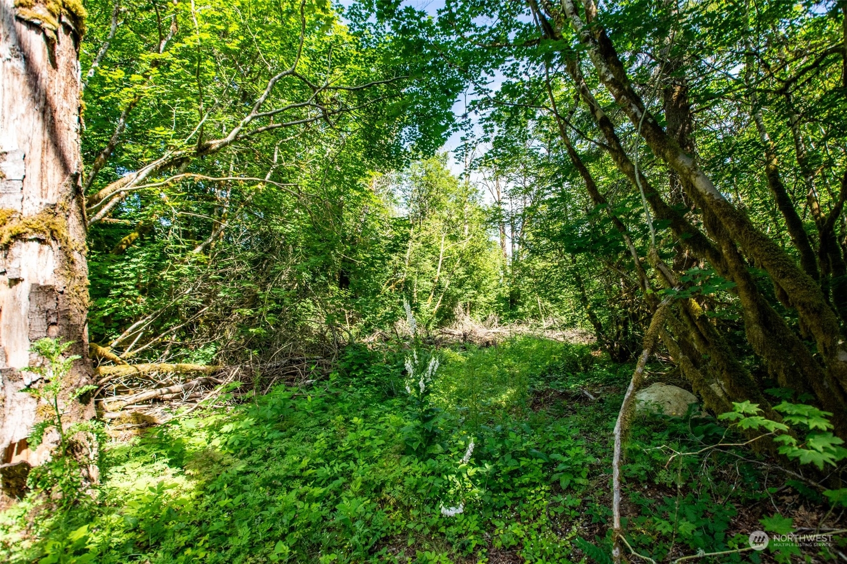 Property Photo:  9829 351st Avenue SE  WA 98065 