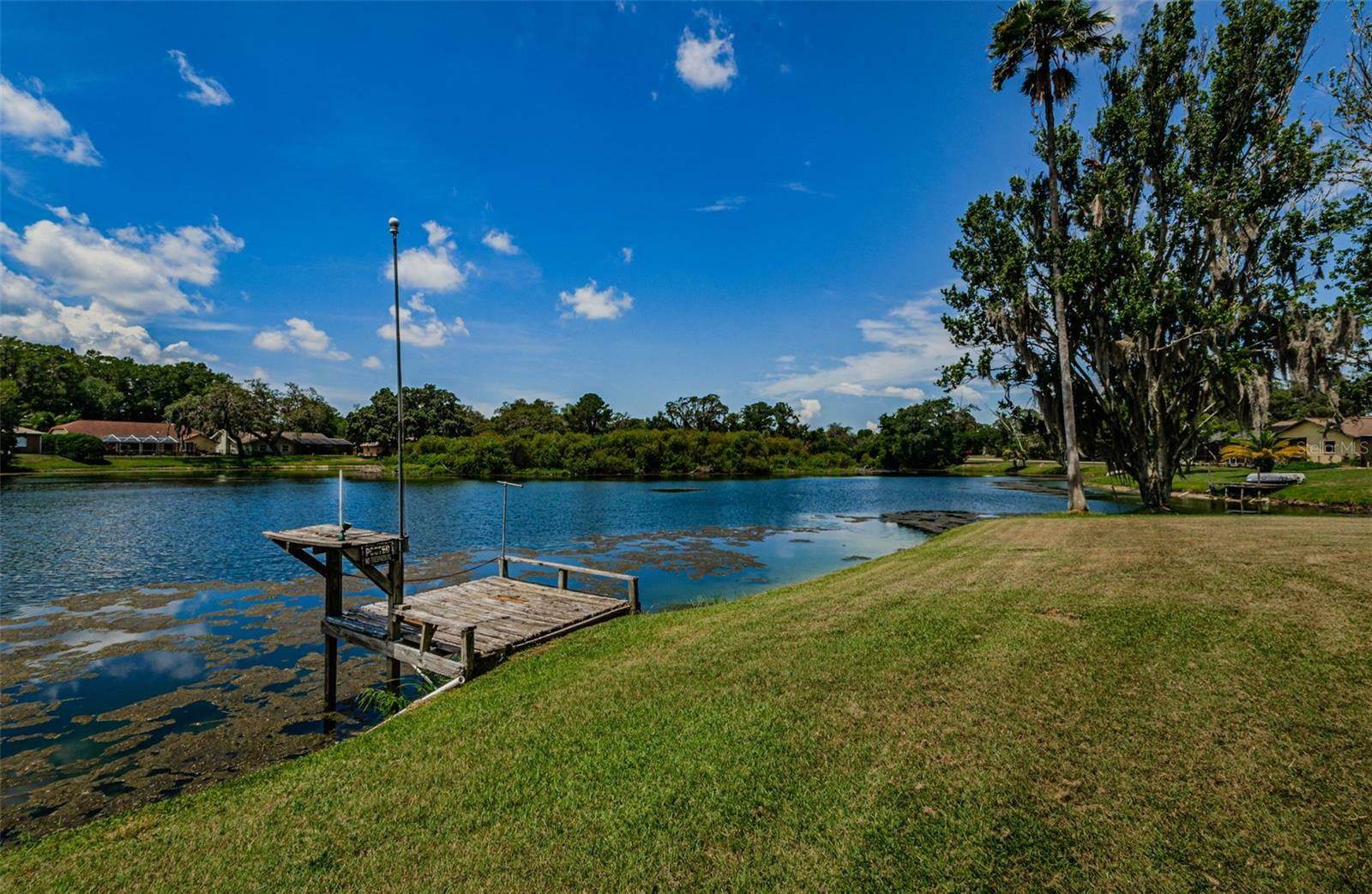 Property Photo: 12905 Balsam Avenue FL 34669
