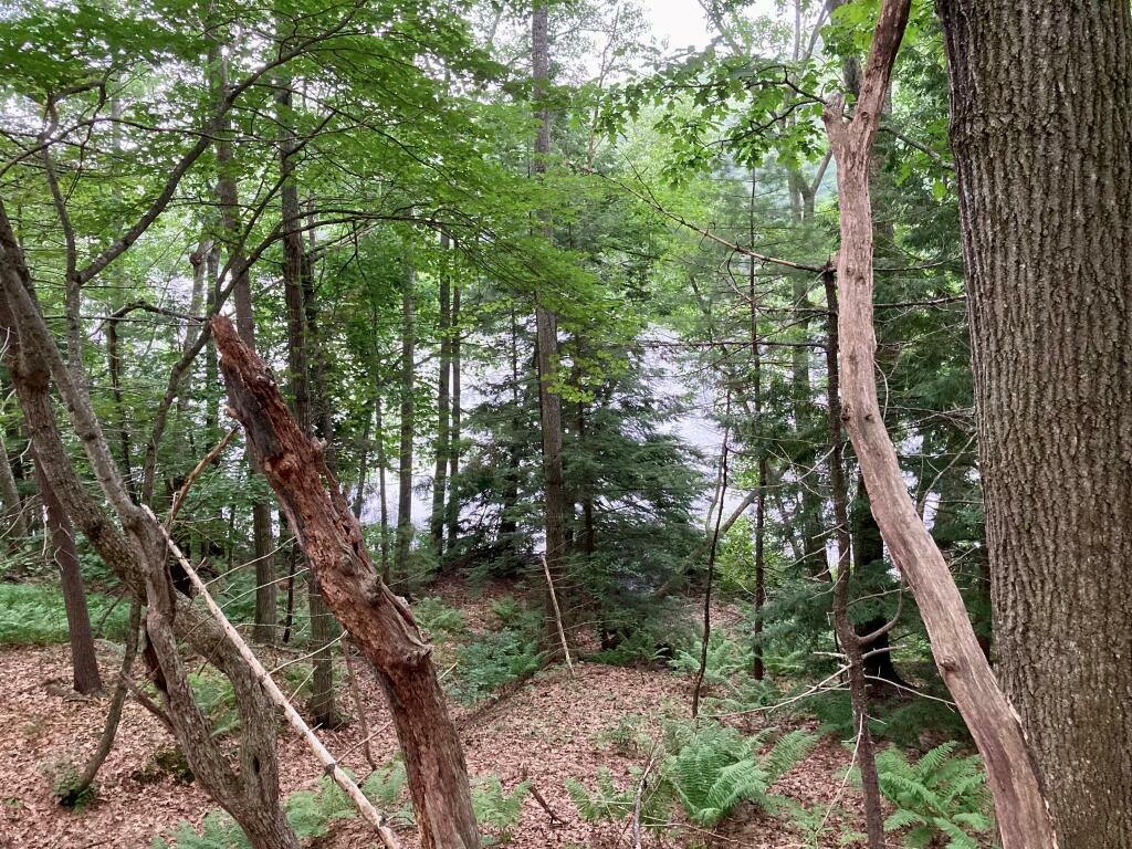 Property Photo: 64 Old Falls Pond Road ME 04002
