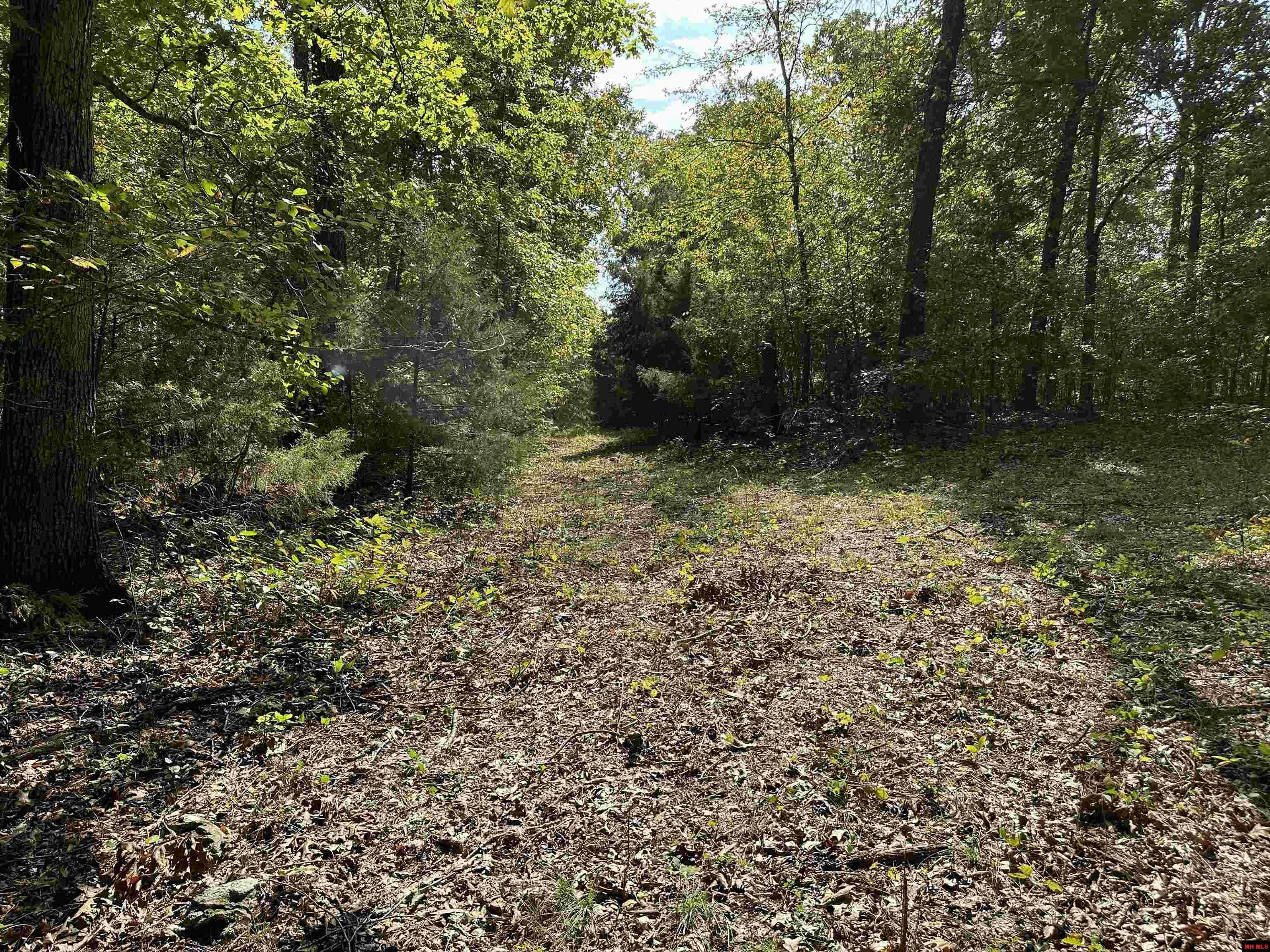 Property Photo:  Lot 1 Mc 7097  AR 72634 