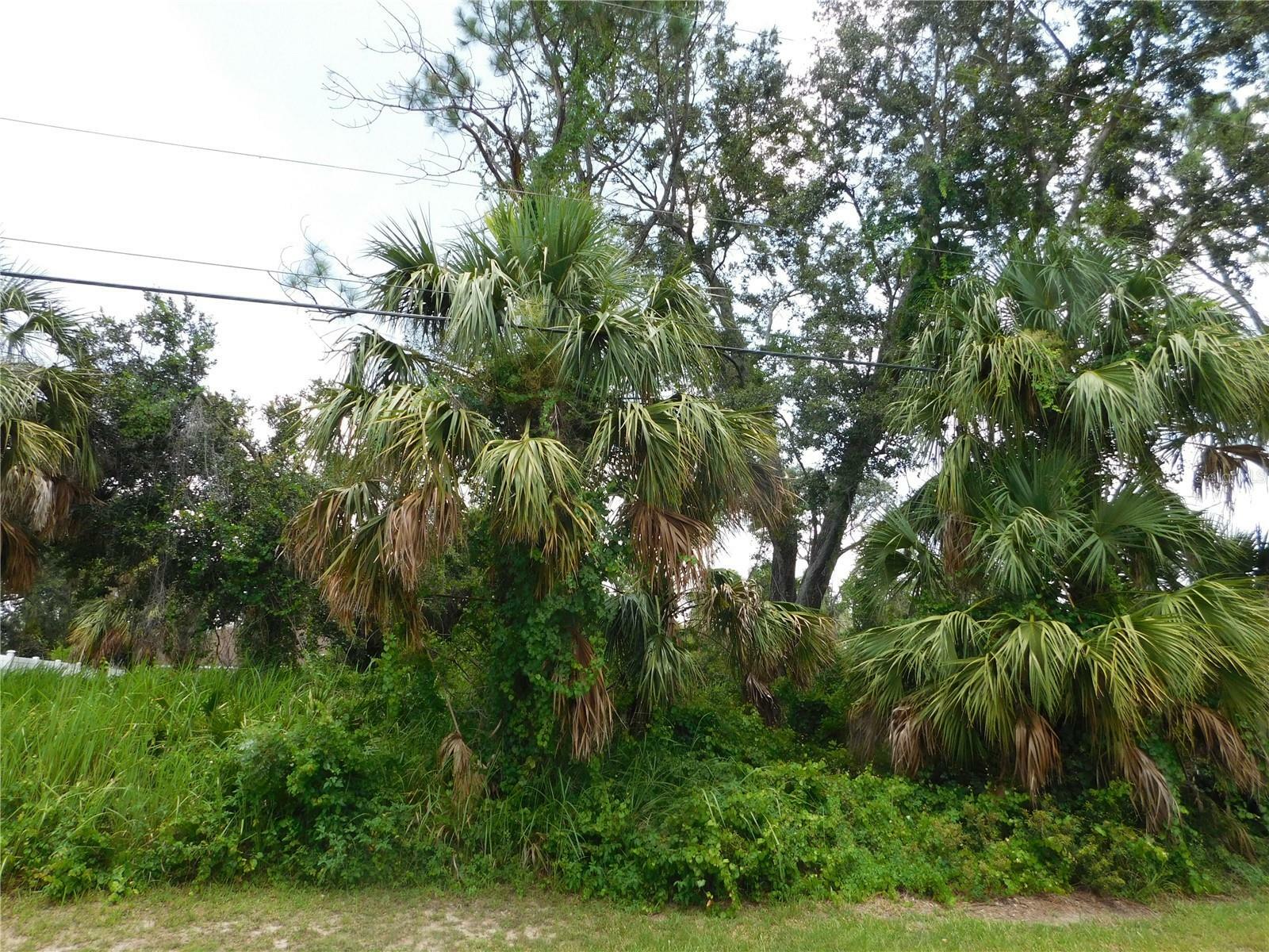 Property Photo:  Grafton    Lot 18 Road  FL 34291 