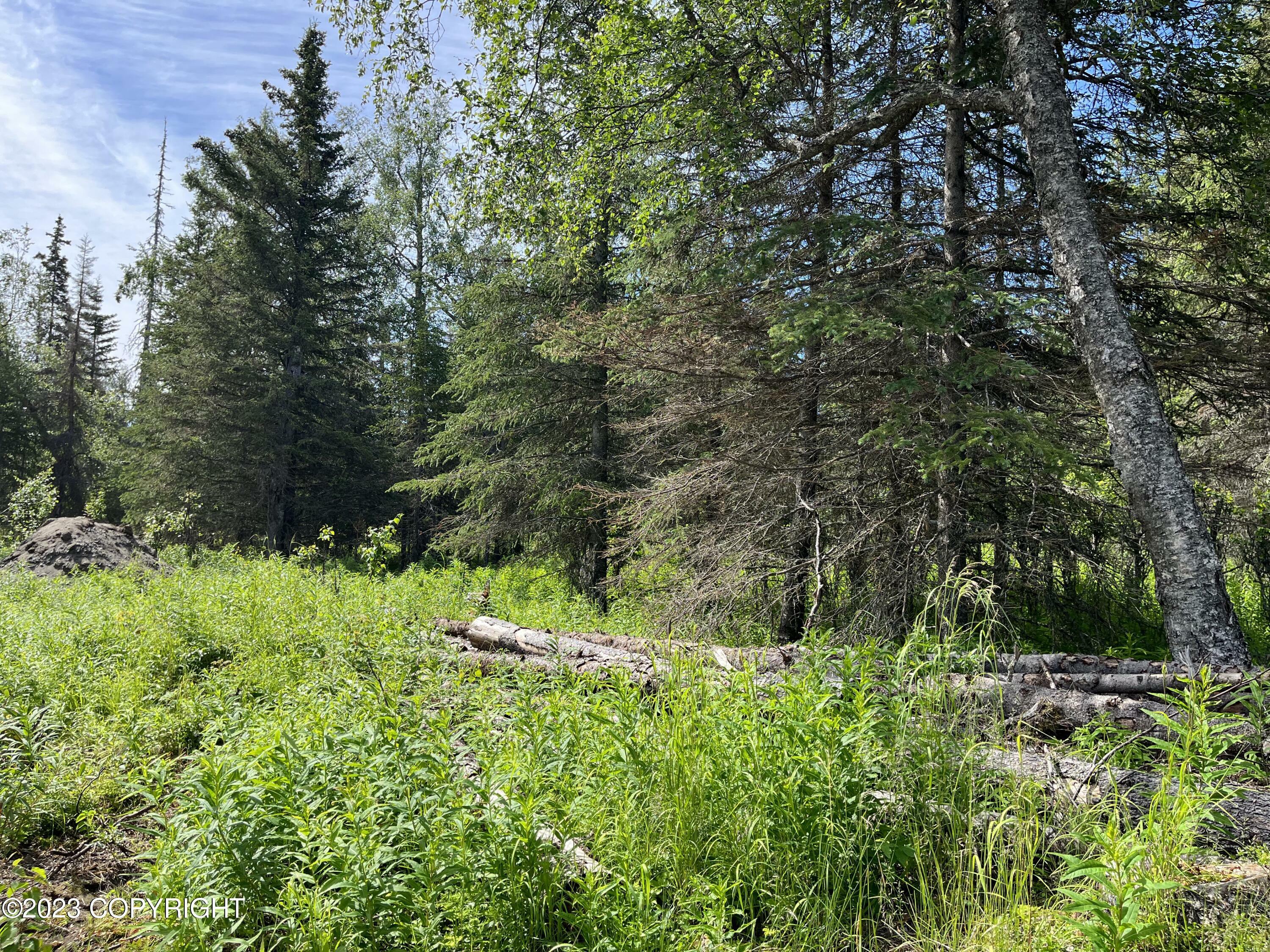 Property Photo: 47615 Gillnet Avenue AK 99635