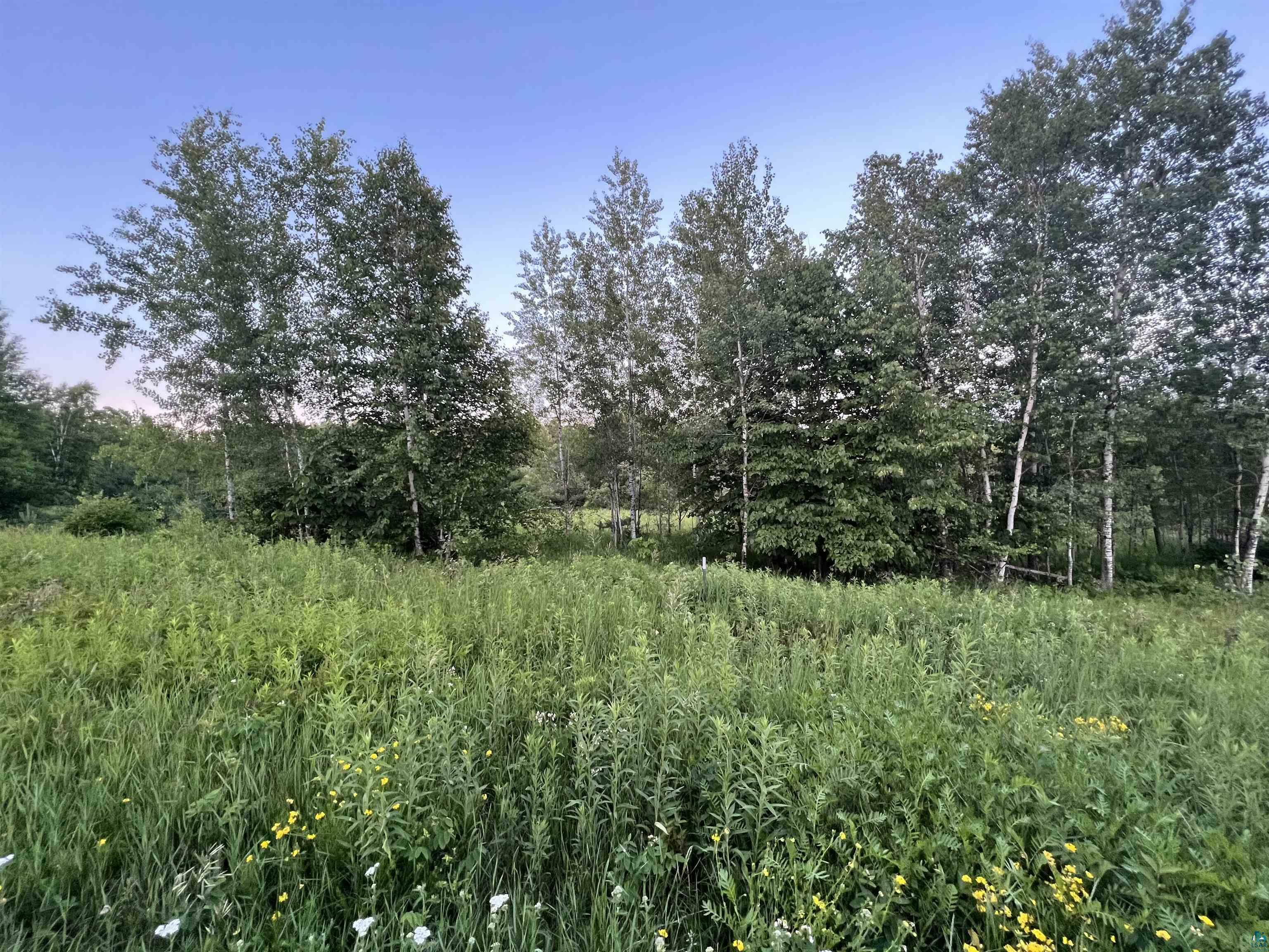 Property Photo:  Xxxx Stroud Rd  MN 55797 