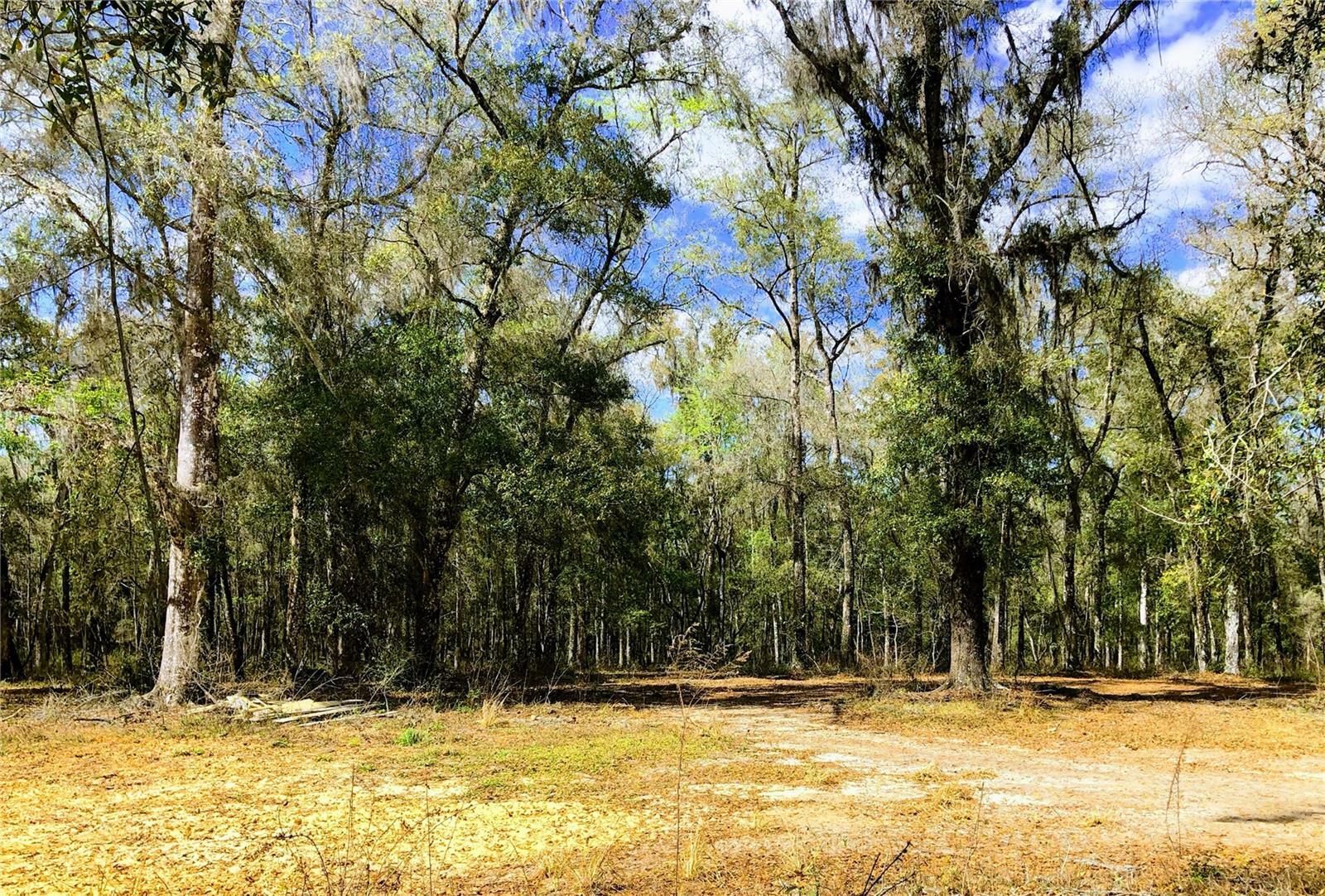 Property Photo:  11310 S Pleasant Grove Road  FL 34452 