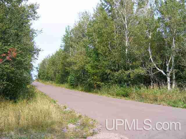Property Photo: 51464 (Lot 7) Martilla Rd MI 49905