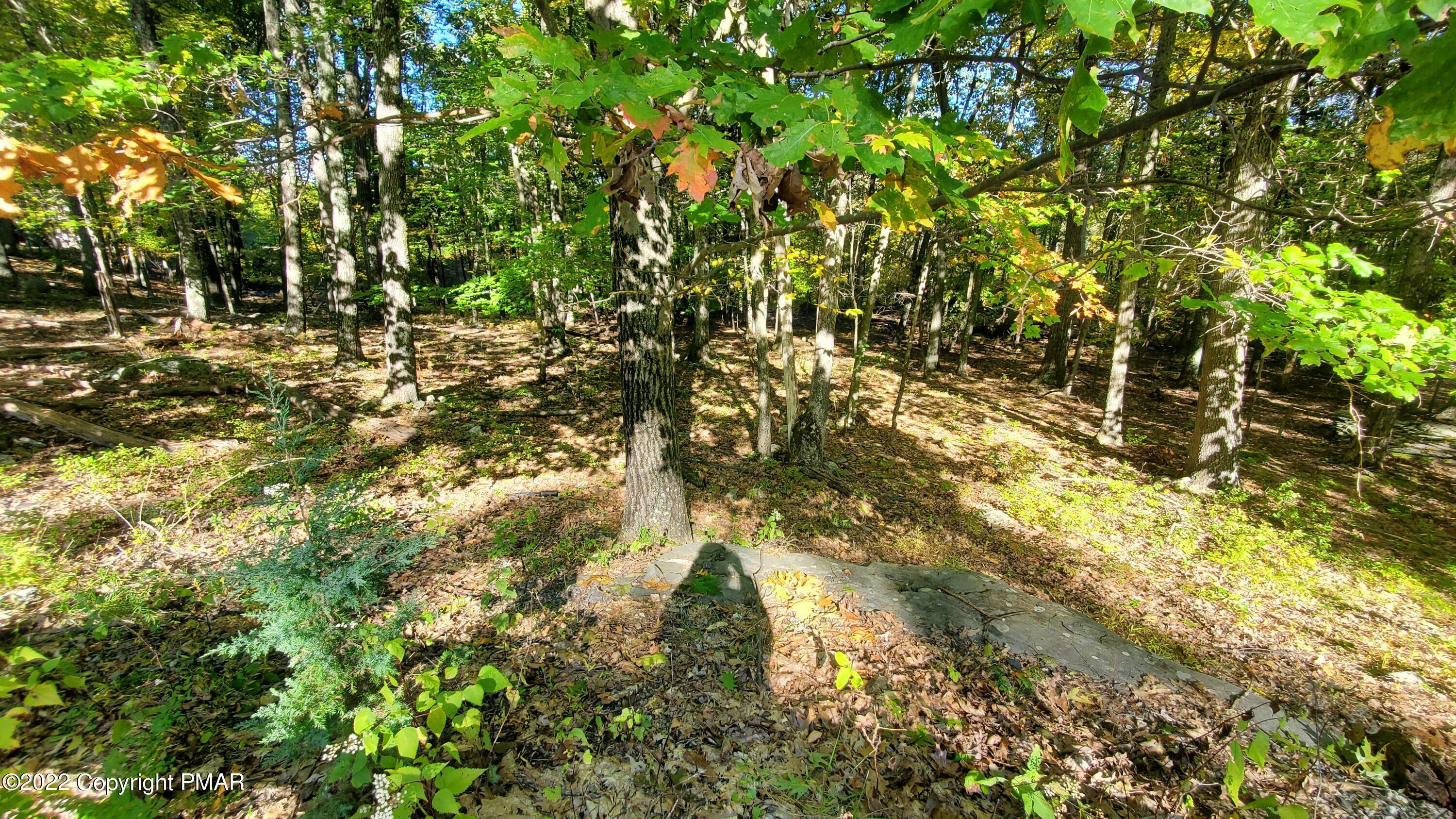 Property Photo:  Lot 3581 Warrick Court  PA 18324 