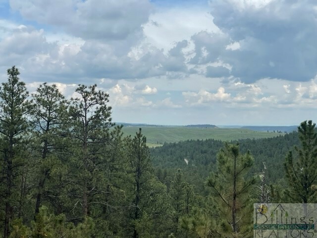 Property Photo:  Lot 81 Cougar Trail  MT 59069 