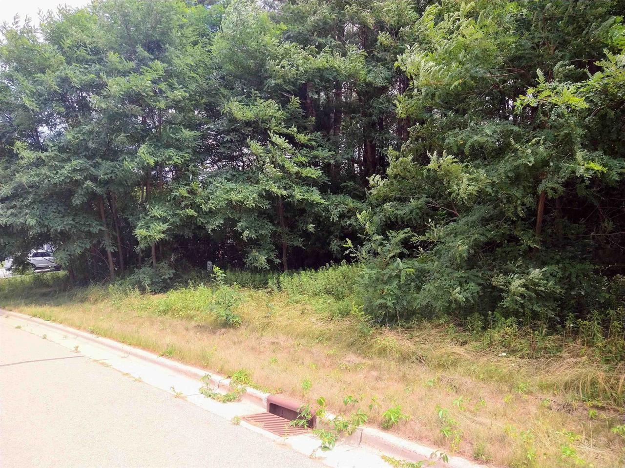 Lot 23 Wooded Glen Court  Wisconsin Dells WI 53965 photo