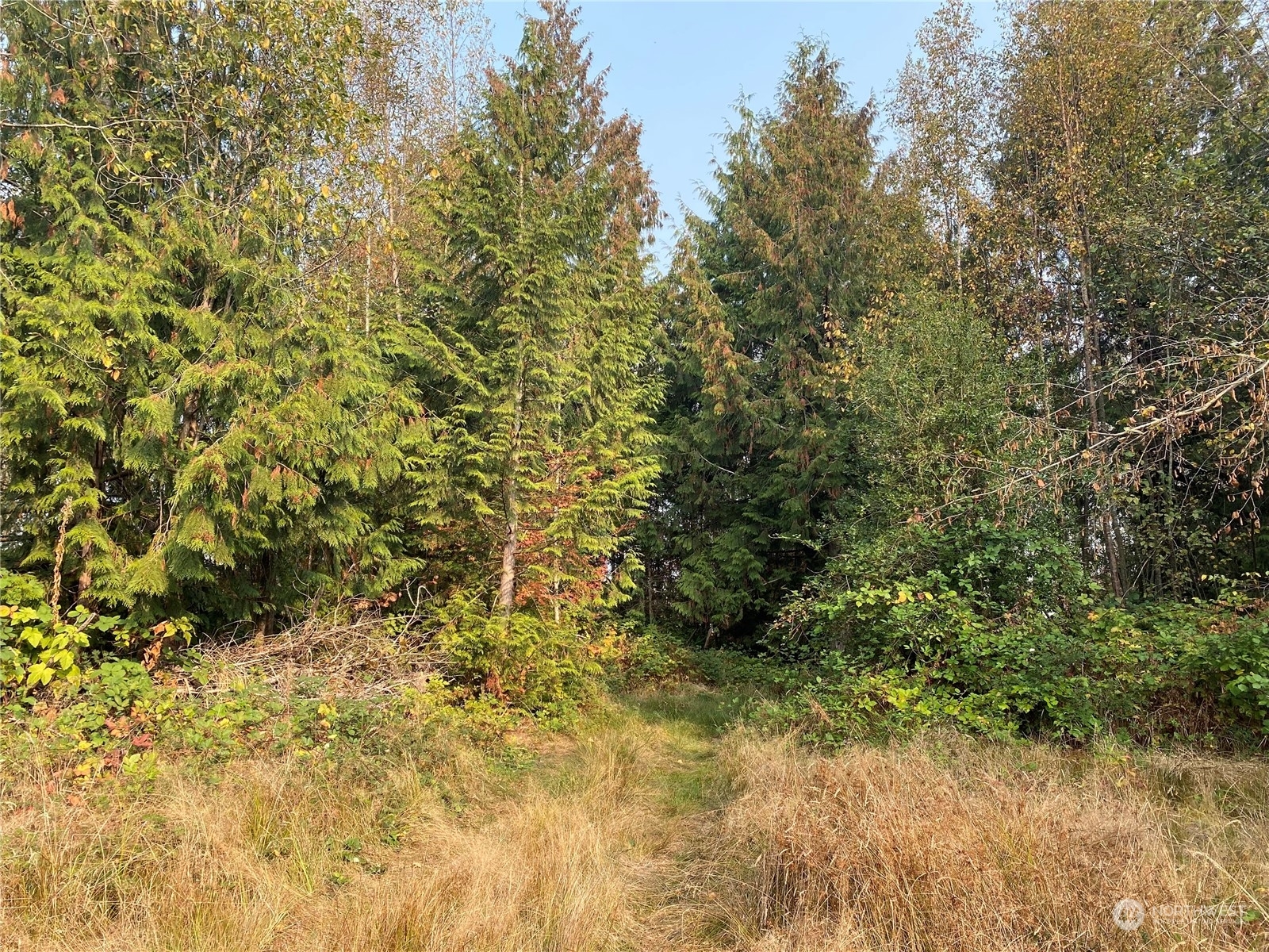 Property Photo:  5732 Hoogdal Branch Road  WA 98284 