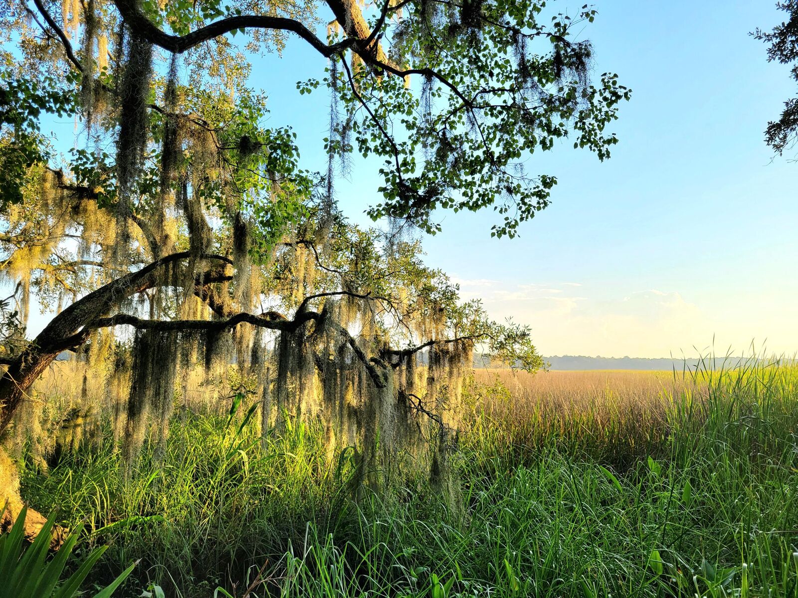 Property Photo: 7745 Park Gate Drive SC 29418