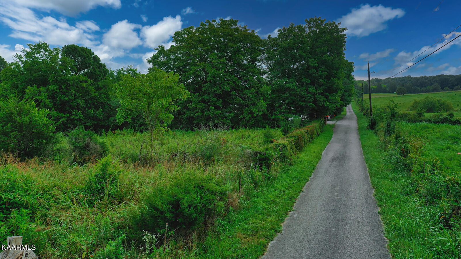 Property Photo:  Wade Lane  TN 37774 