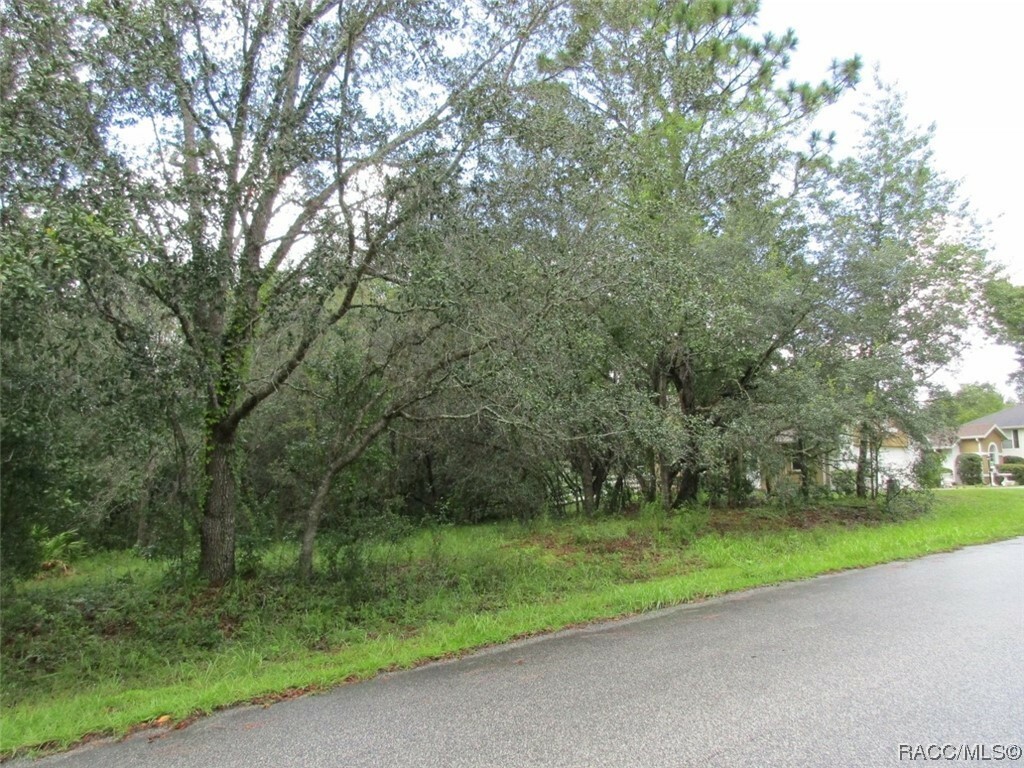 Property Photo:  1302 N Mediterranean Way  FL 34453 