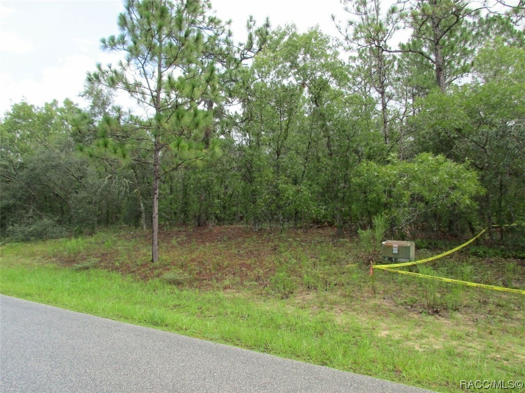 Property Photo:  1315 N Mediterranean Way  FL 34453 