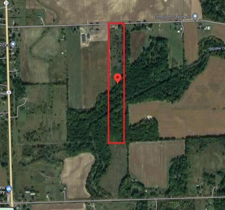 Property Photo:  1248 Squaw Creek Road  MI 48435 