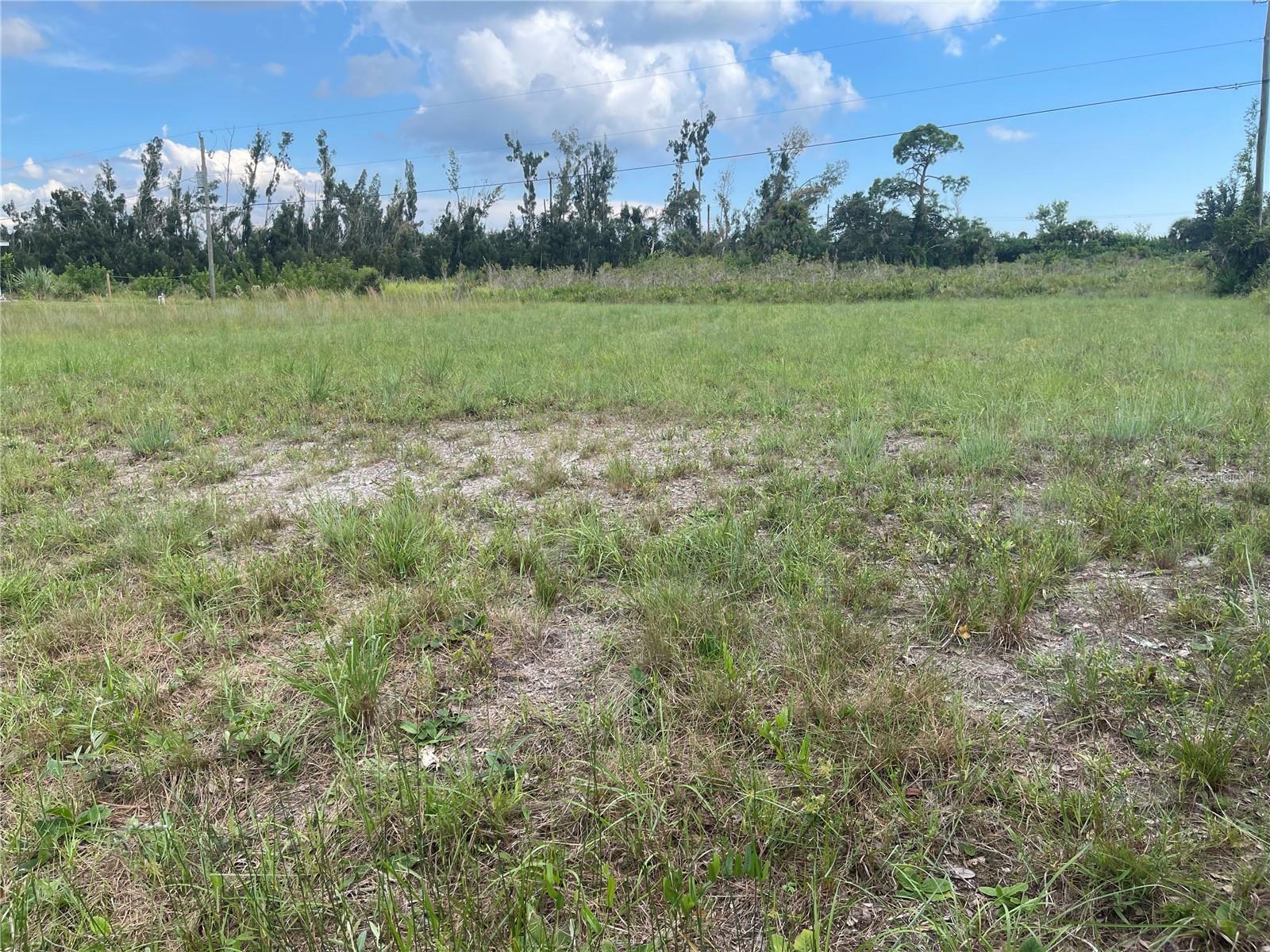 Property Photo: Durango Avenue FL 34287