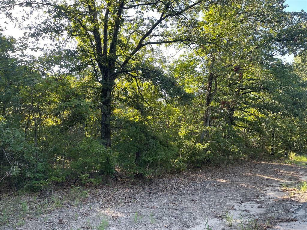 Lot 47 Cr SE 4298  Scroggins TX 75480 photo