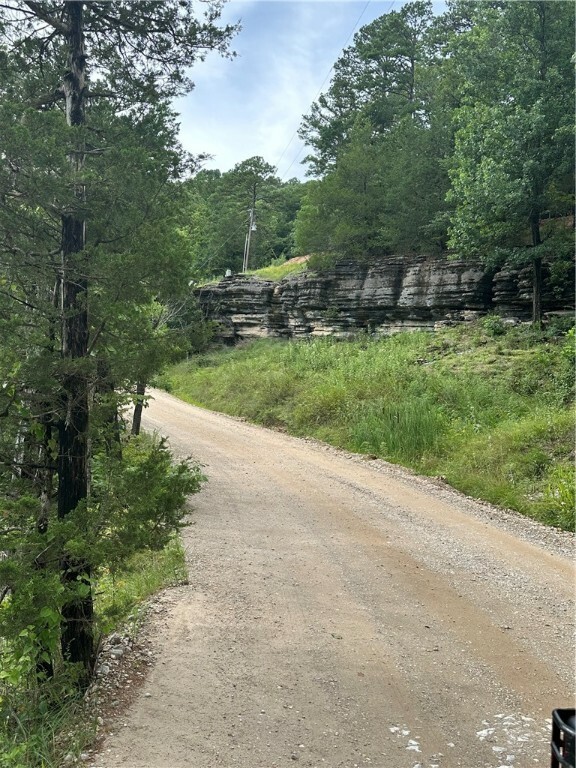 Property Photo:  Tract 12 Dawn Kimberly- Cr1486 Road  AR 72632 