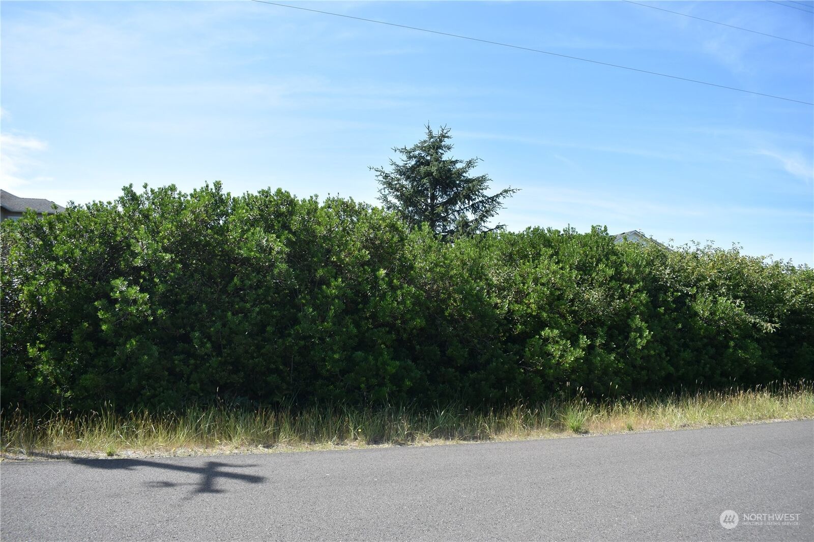 Property Photo:  763 S Sand Dune Avenue SW  WA 98569 